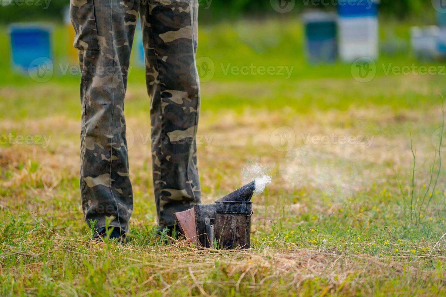 imker inspecteren bij bijenkorf. imker in beschermend werkkleding. netelroos achtergrond Bij bijenstal. foto