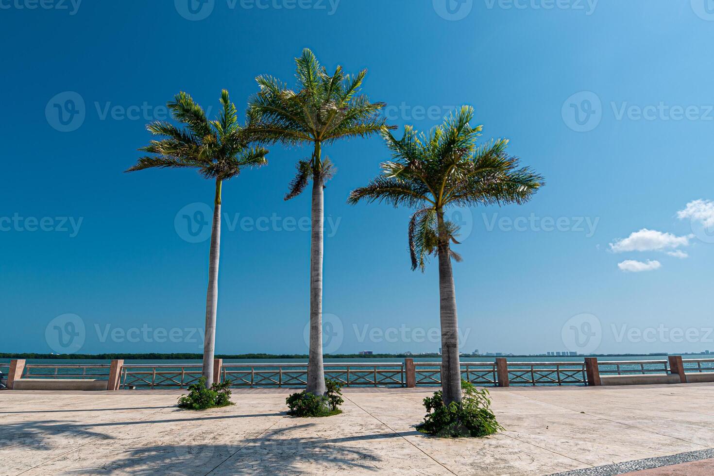 malecon tajamar in cancun, quintana roo, Mexico foto