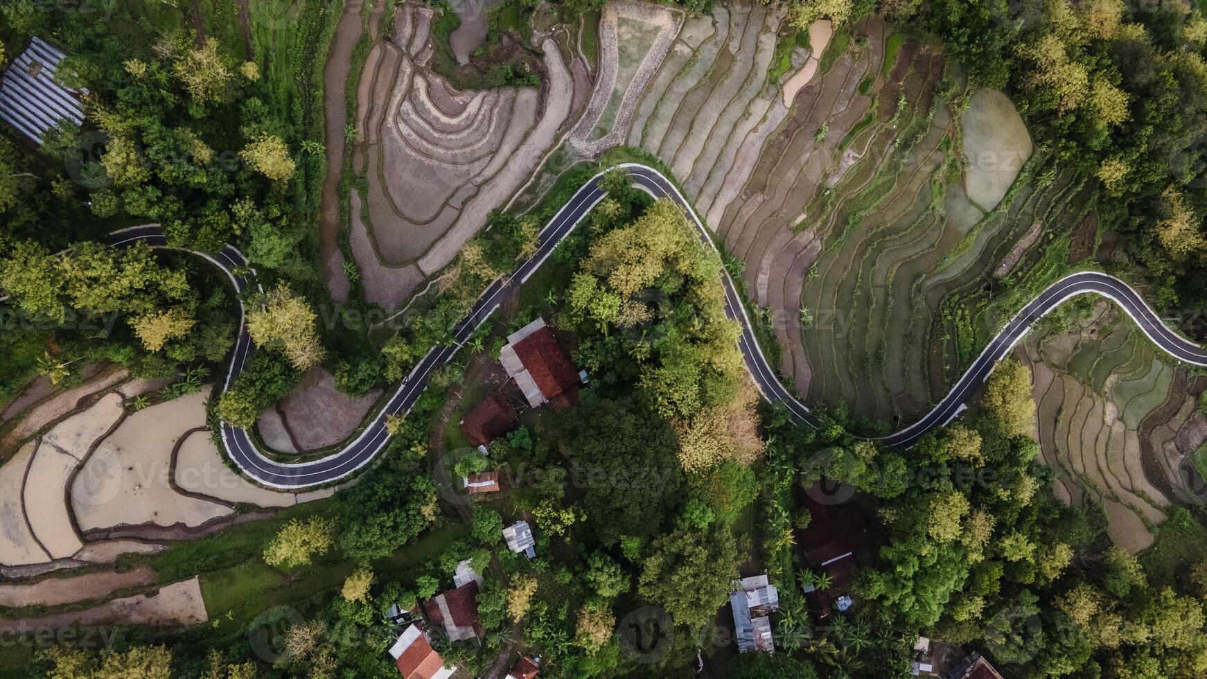 antenne visie van asfalt weg kronkelend tussen bossen en mooi groen rijst- velden. foto