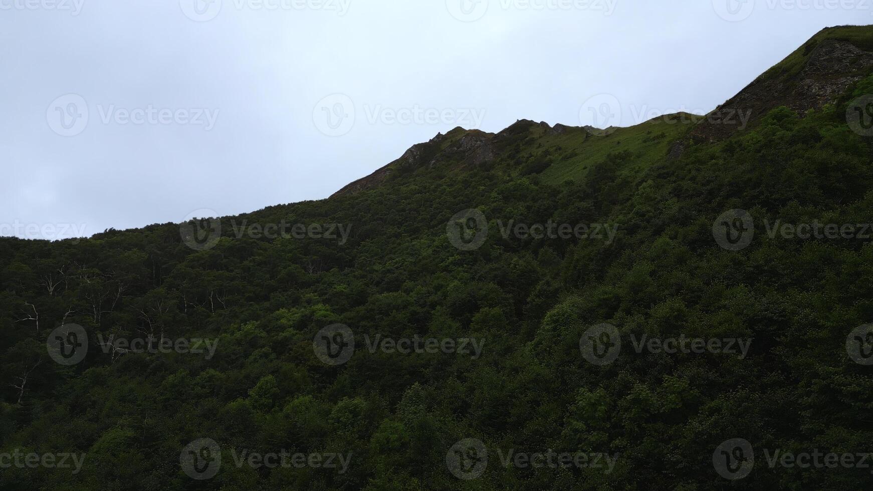 visie van groen bergen met Woud. klem. top visie van berg helling met groen dicht Woud. verbazingwekkend natuur van bergen met groen Woud hellingen Aan bewolkt dag foto