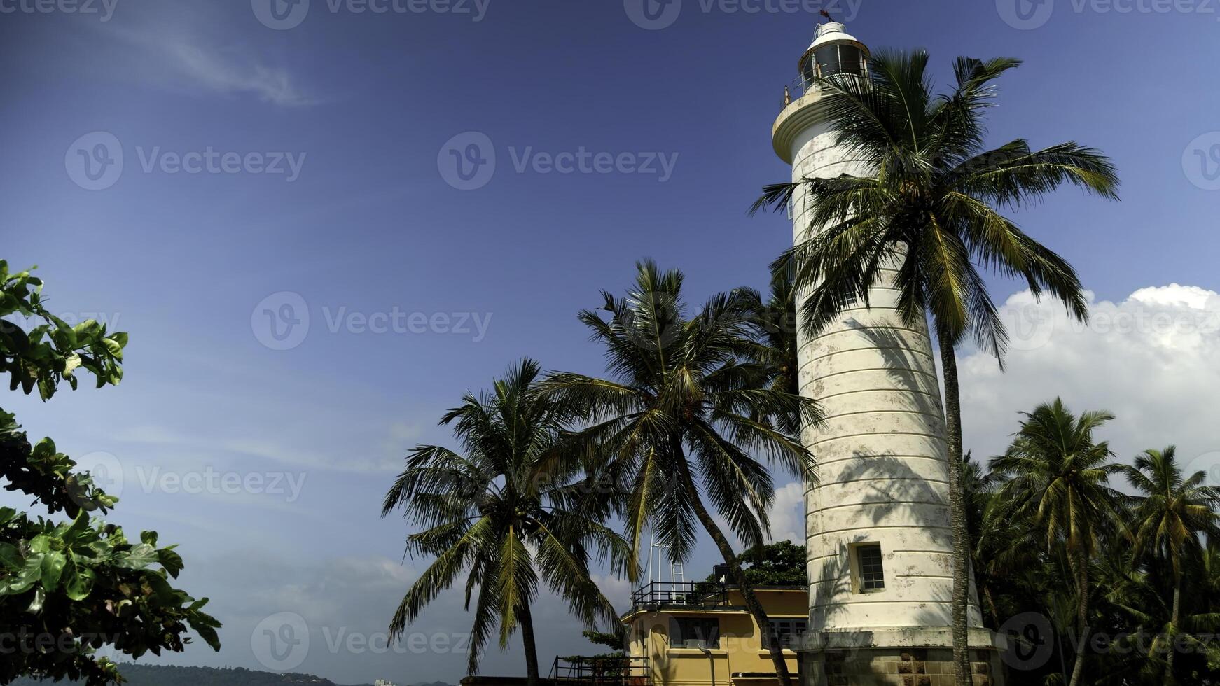 wit vuurtoren Aan de kust. actie. palm bomen en mooi zee oever. foto