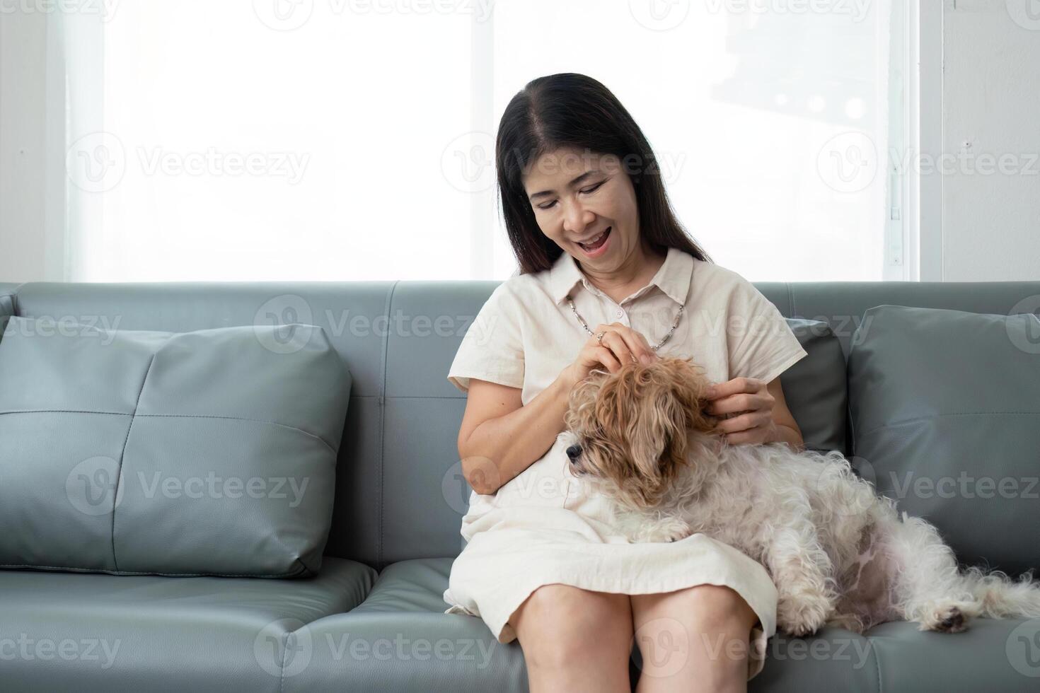 ouderen Aziatisch vrouw gelukkig en een hond in de ochtend- Bij huis binnen, single senior gepensioneerd vrouw zittend Aan sofa in leven kamer foto