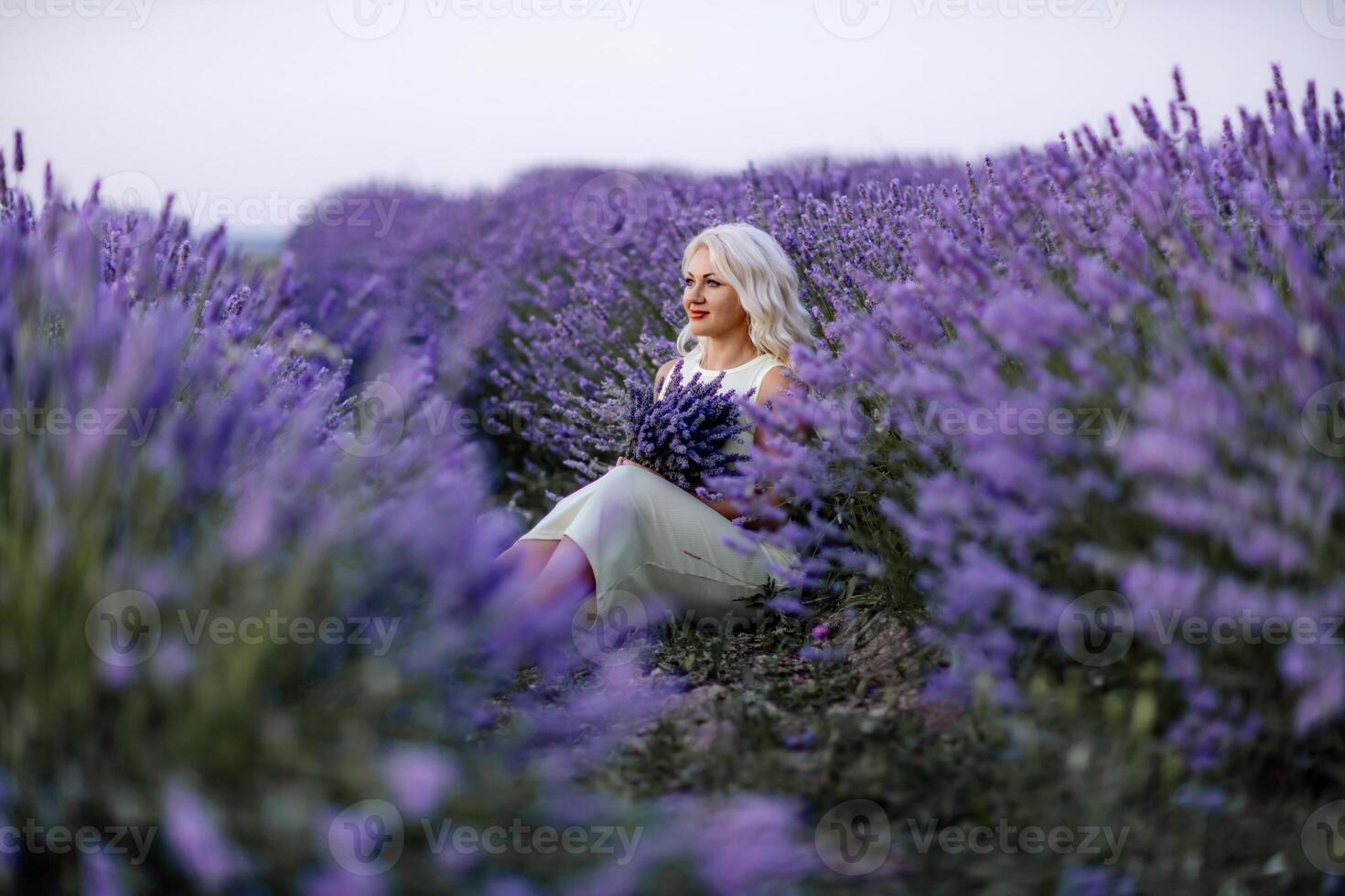 blond vrouw poses in lavendel veld- Bij zonsondergang. gelukkig vrouw in wit jurk houdt lavendel boeket. aromatherapie concept, lavendel olie, foto sessie in lavendel