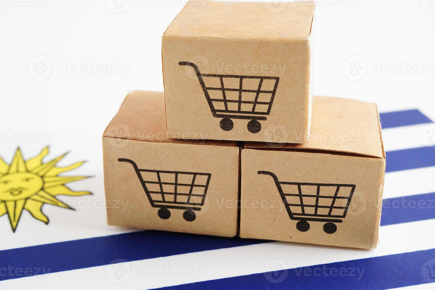 online winkelen, boodschappen doen kar doos Aan Uruguay vlag, importeren exporteren, financiën handel. foto