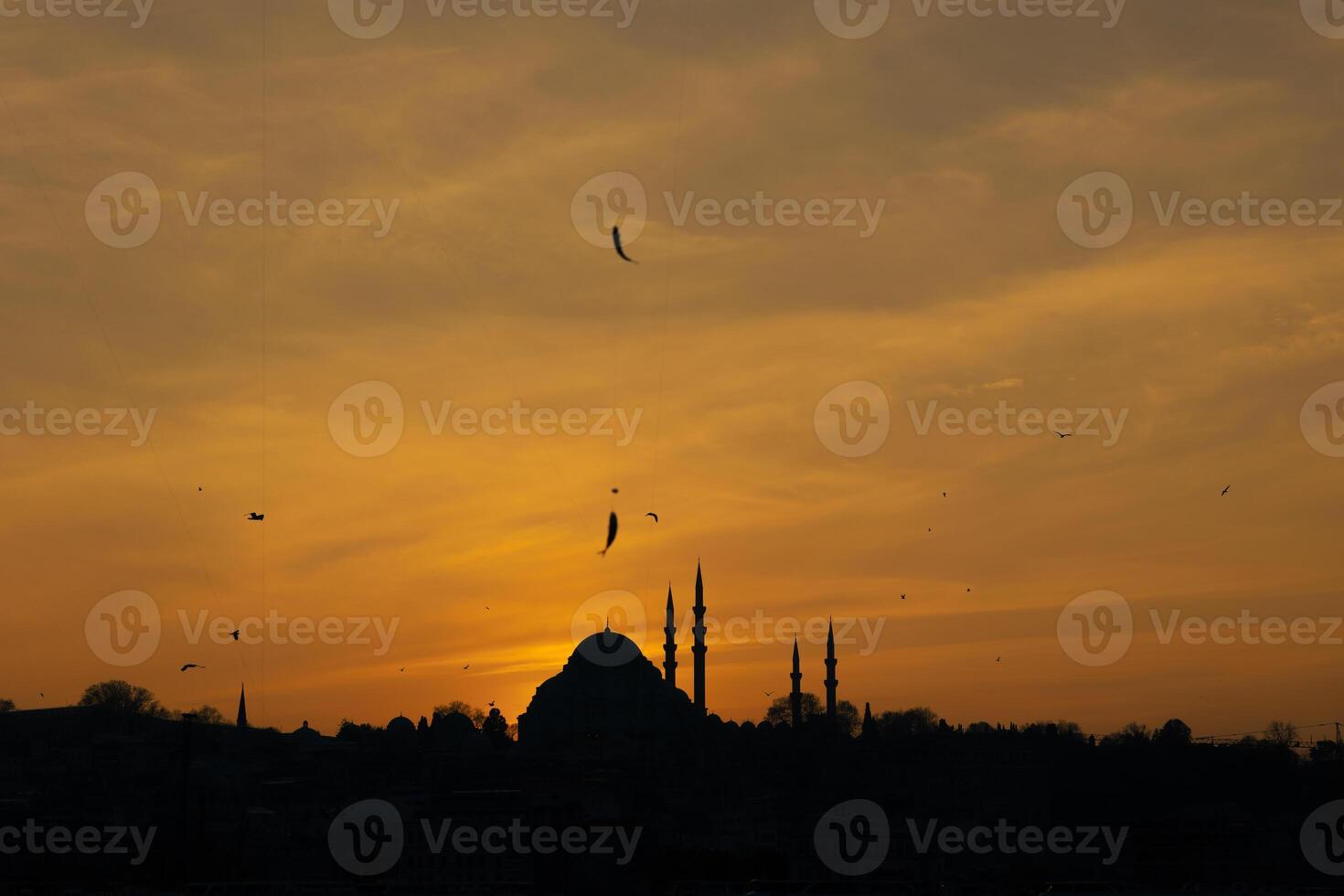 silhouet van suleymaniye moskee en vissen Aan de visvangst hengel foto