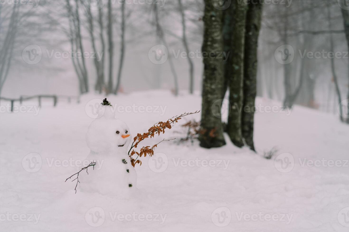 glimlachen weinig sneeuwman in een hoed met takken-handen in een besneeuwd park foto