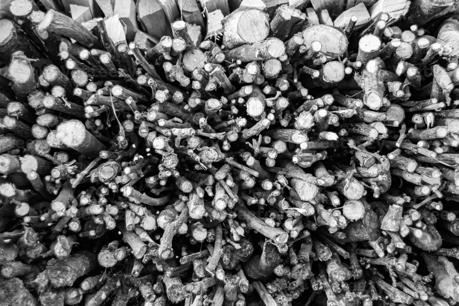 fotografie op thema grote muur van gestapelde eiken boomstammen in scheuren foto