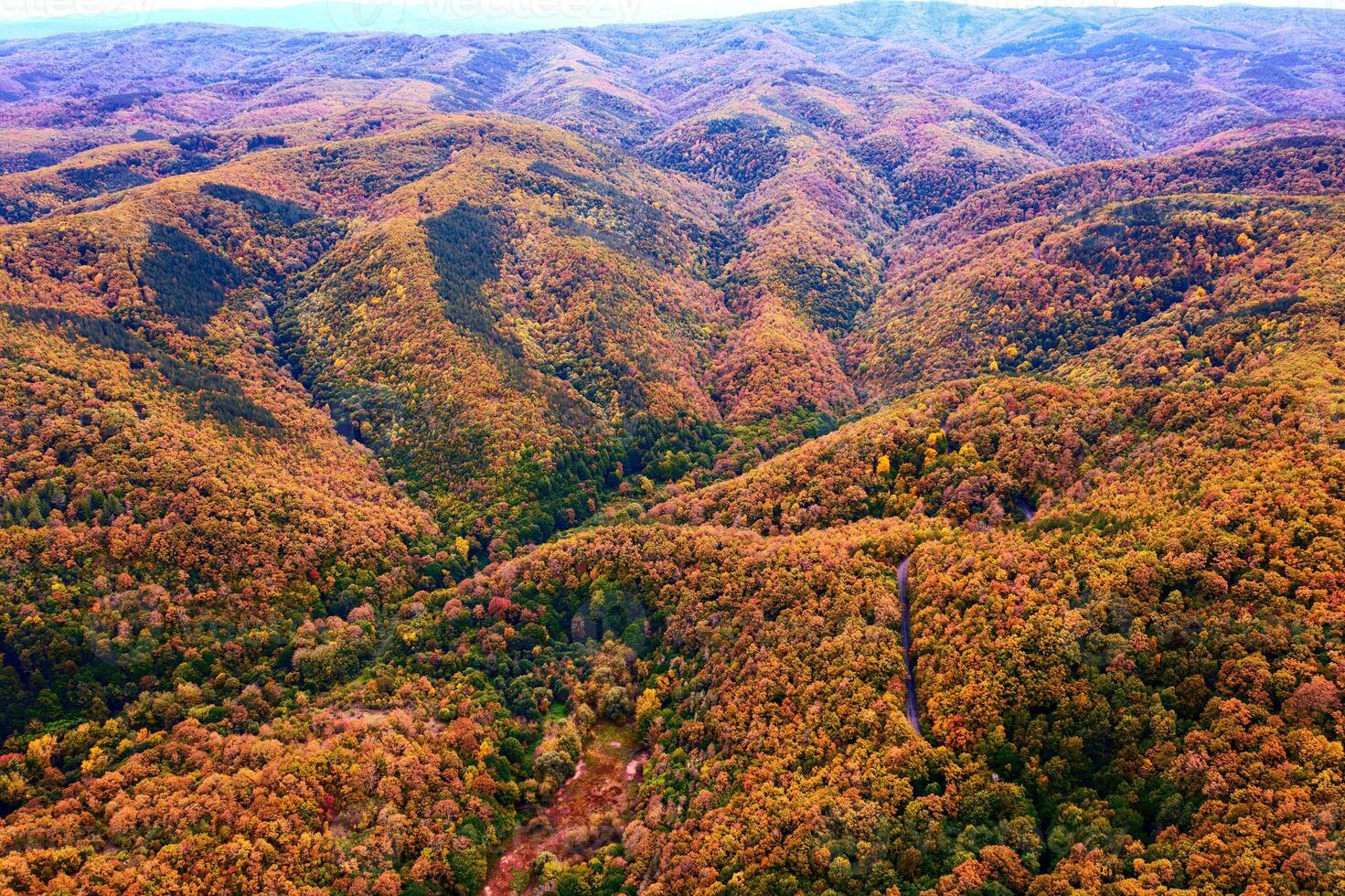 antenne visie van berg heuvels en vallei gedekt met herfst kleuren foto