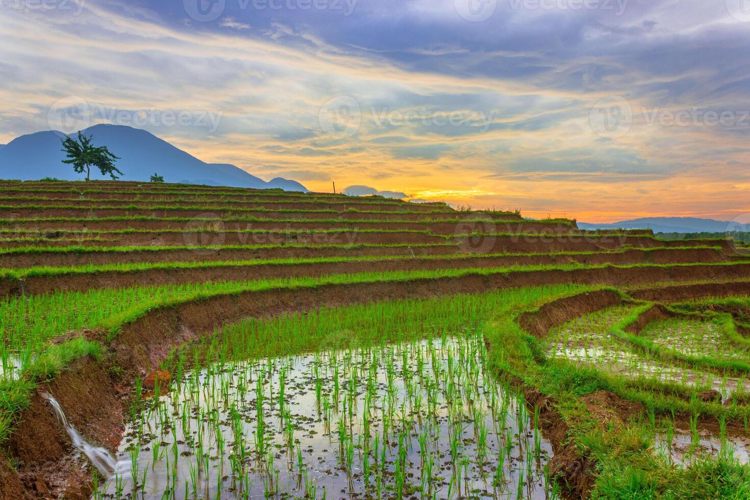 mooi ochtend- visie van Indonesië van bergen en tropisch Woud foto