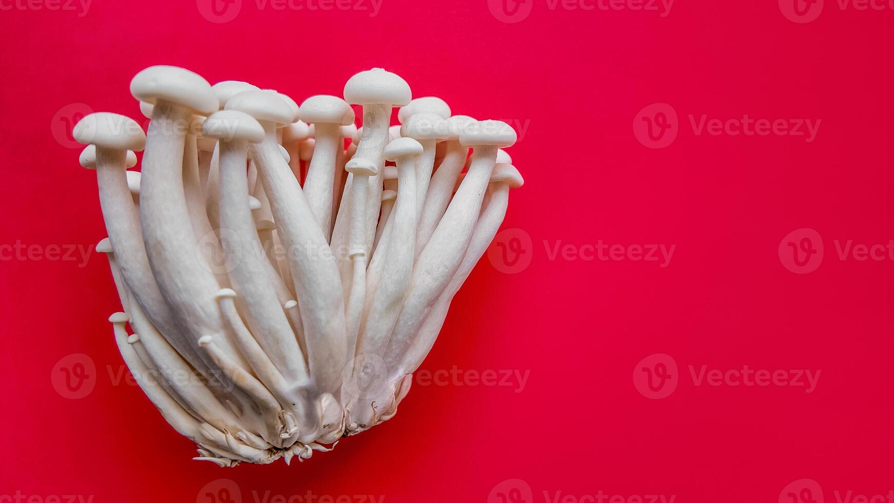 biologisch wit enoki champignons Aan levendig rood foto