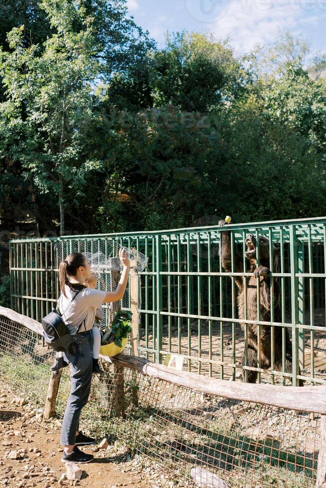 moeder met een weinig meisje in haar armen staat in de buurt de hek en gooit appels naar een bruin beer foto
