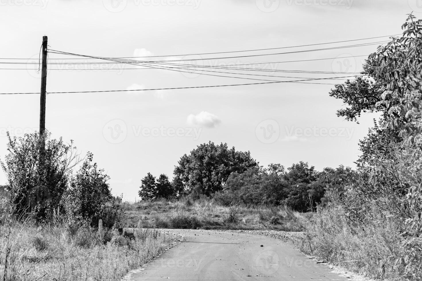 mooi leeg asfalt weg in platteland Aan licht achtergrond foto