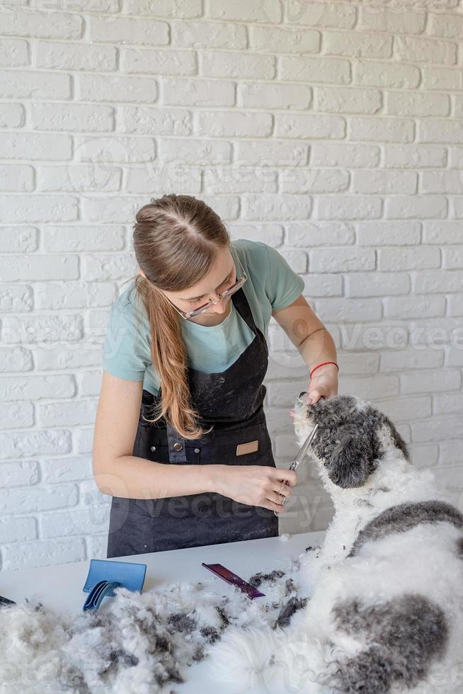 glimlachende vrouw die bichon frise-hond in salon verzorgt foto