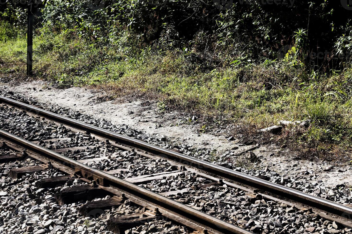 leeg trein sporen met groen planten achtergrond Peru foto