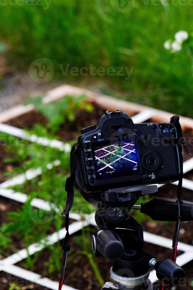 dslr camera gemonteerd Aan statief nemen video van planten in tuin foto