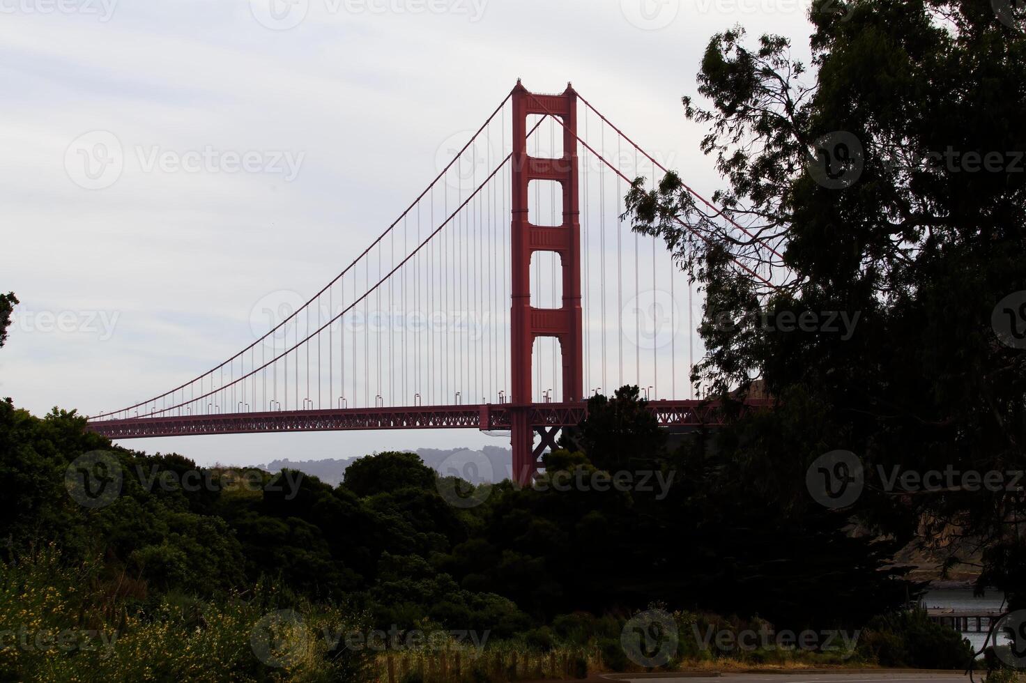 noordelijk toren van gouden poort brug bewolkt lucht foto