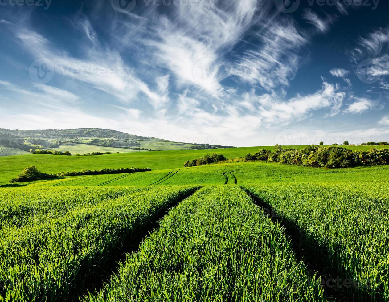 groen velden van Moravië foto