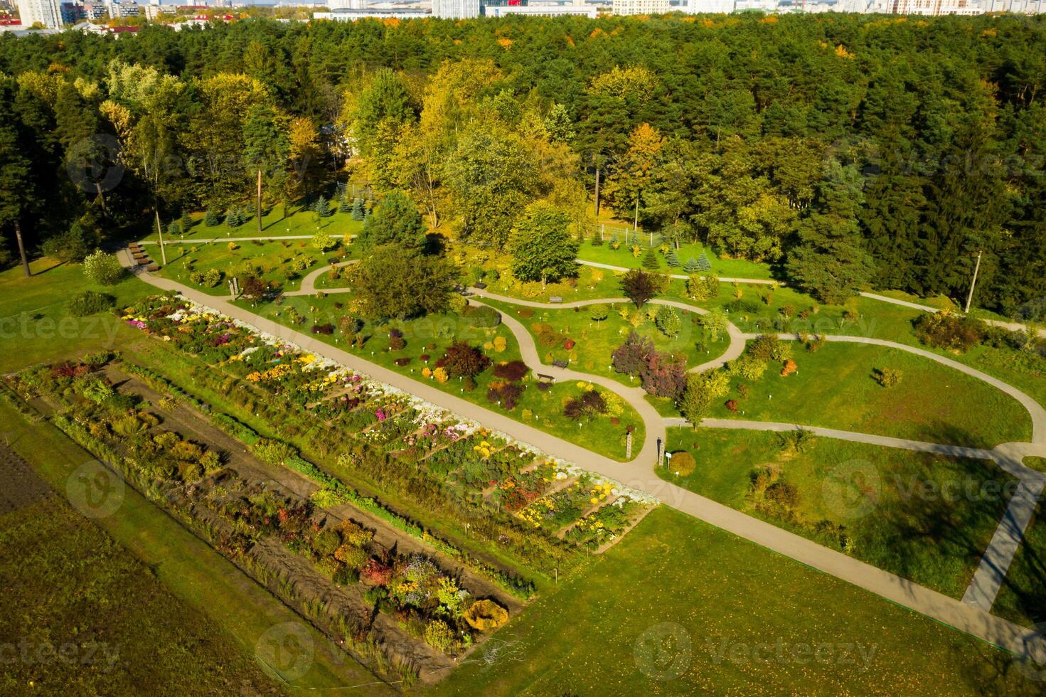 top visie van de herfst Minsk botanisch tuin. Wit-Rusland foto