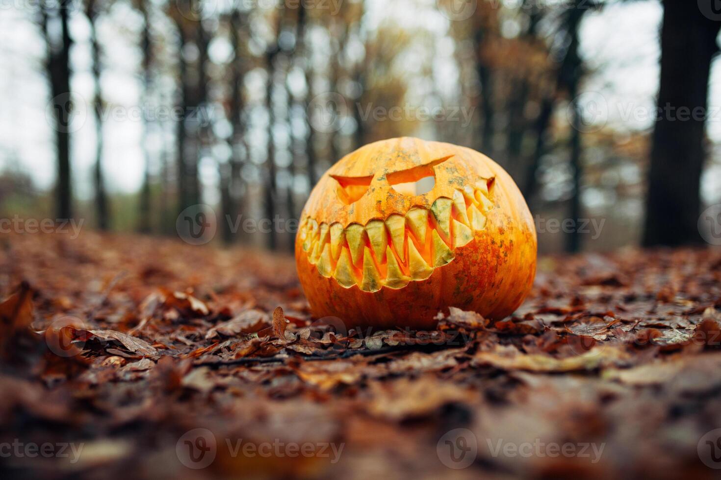 halloween jack-o-lantern met antropomorf glimlachen gezicht Aan herfst bladeren buitenshuis foto
