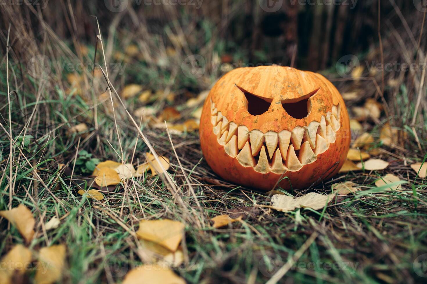 halloween jack-o-lantern met antropomorf glimlachen gezicht Aan herfst bladeren buitenshuis foto