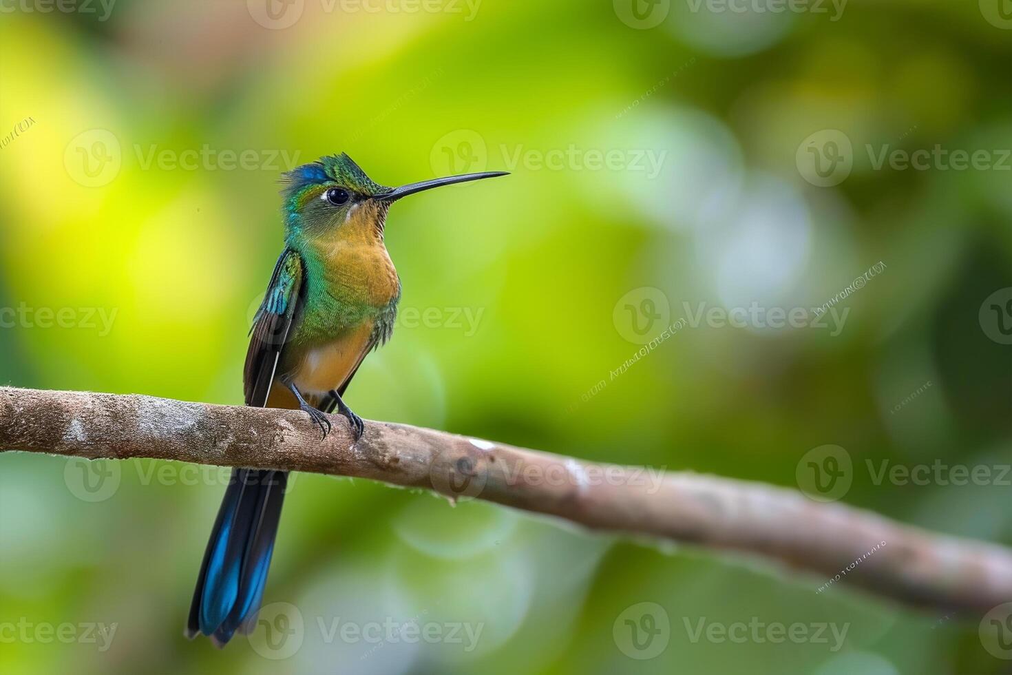 ai gegenereerd paarsstaart sylph, aglaiocercus coelestis, violetstaart sylph, silfo celeste foto