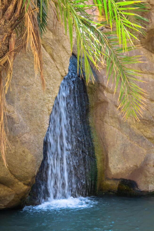 waterval in berg oase tsjebika, tunesië, Afrika foto