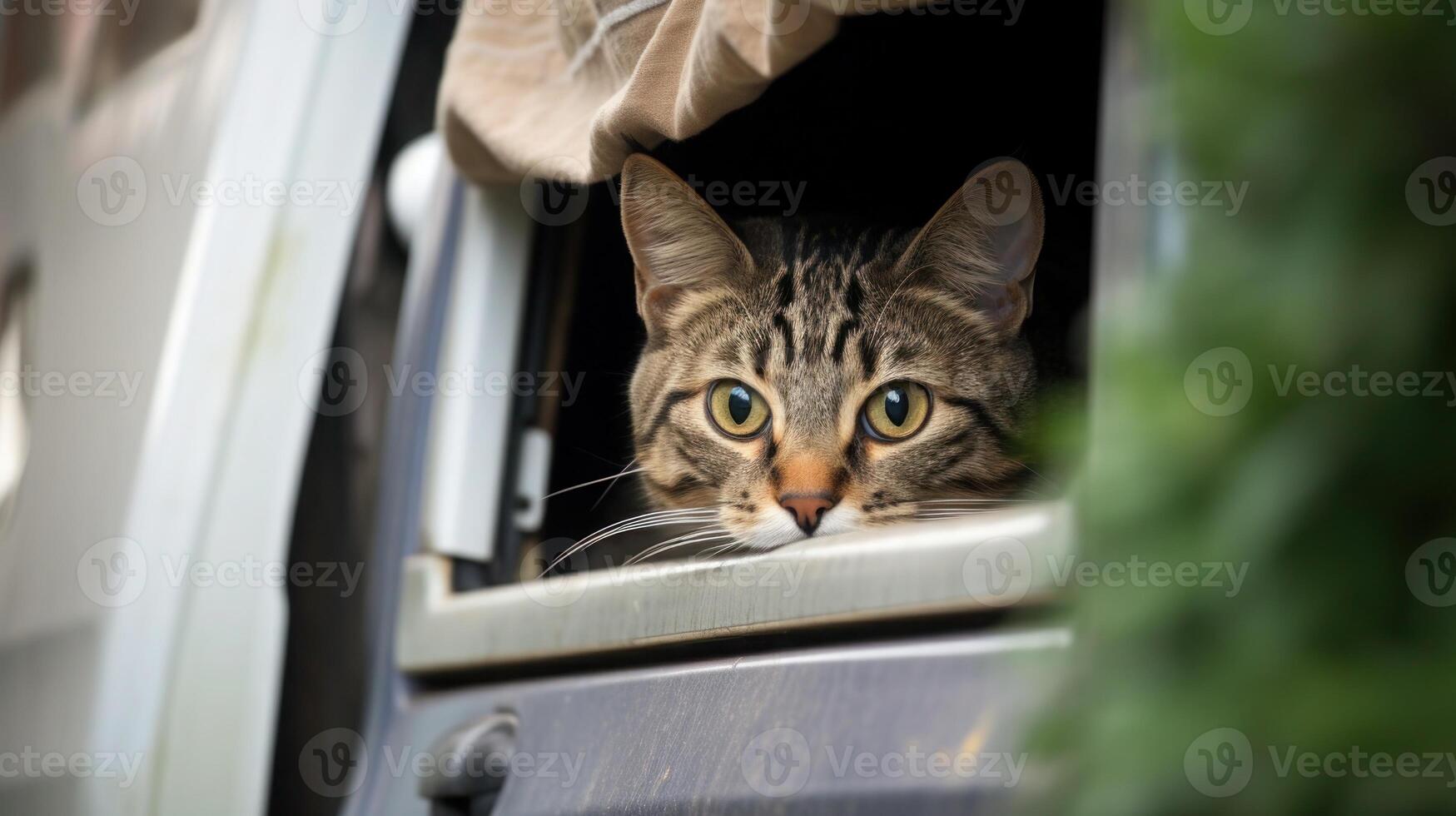 ai gegenereerd portret kat kat is een schattig kat en een grappig, goedgehumeurd.ze kijken schattig en zijn mooi zo huisdieren, gemakkelijk naar verhogen net zo huisdieren.it is een speels, aanhankelijk huisdier en is een favoriete van de verzorgers. foto