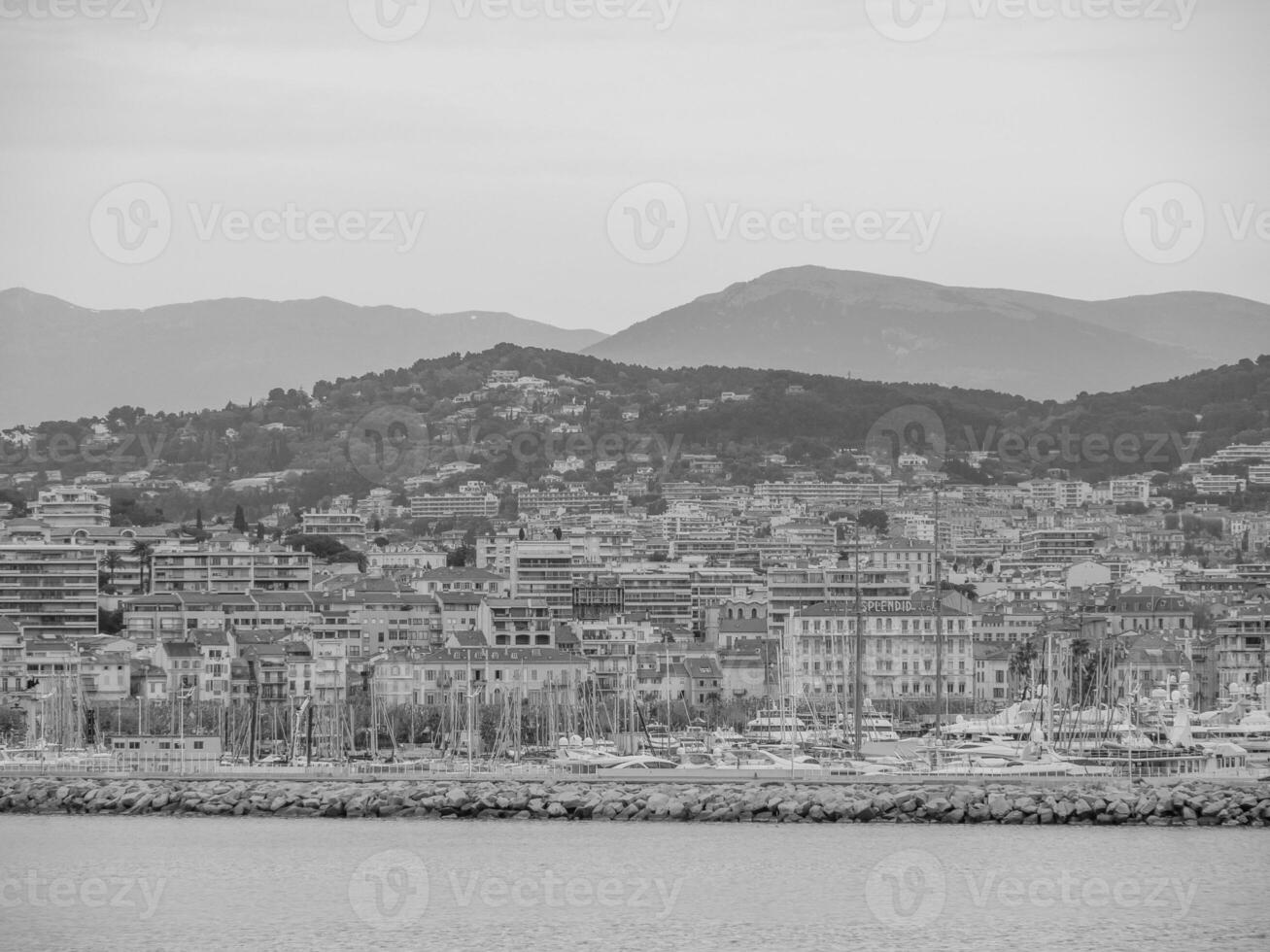 cannes in frank foto