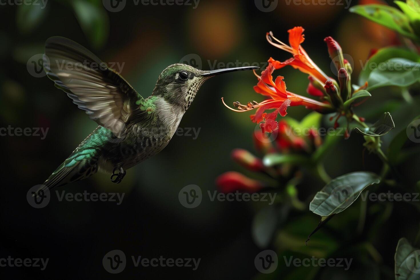 ai gegenereerd kolibrie zuigen nectar van bloeien in de bos, generatief ai foto