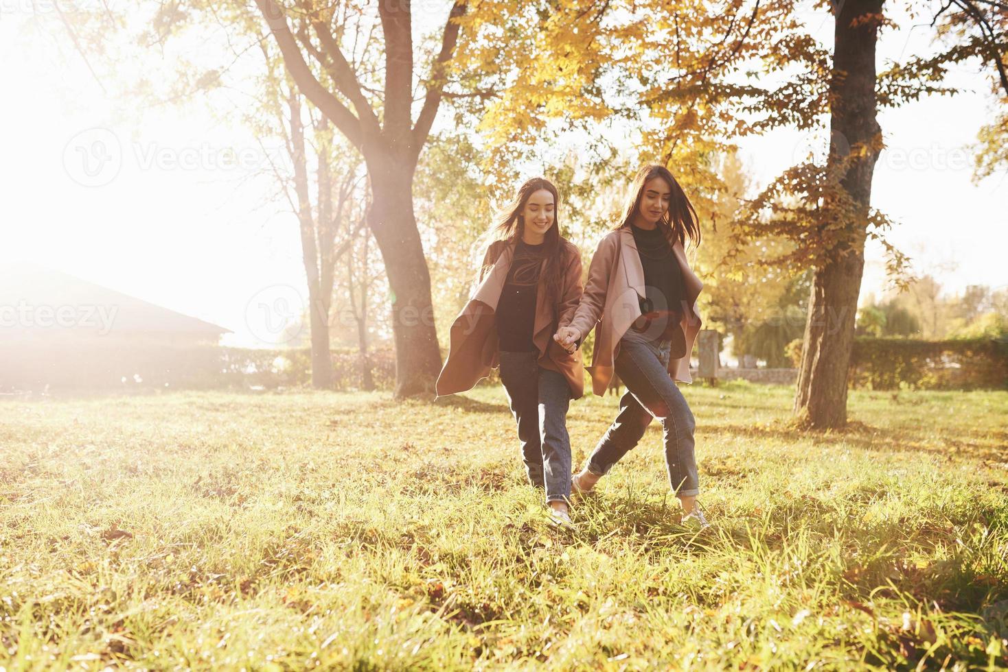 jonge mooie brunette tweelingmeisjes die samen lopen en handen vasthouden, terwijl ze recht in het herfstzonnige park op een wazige achtergrond kijken foto