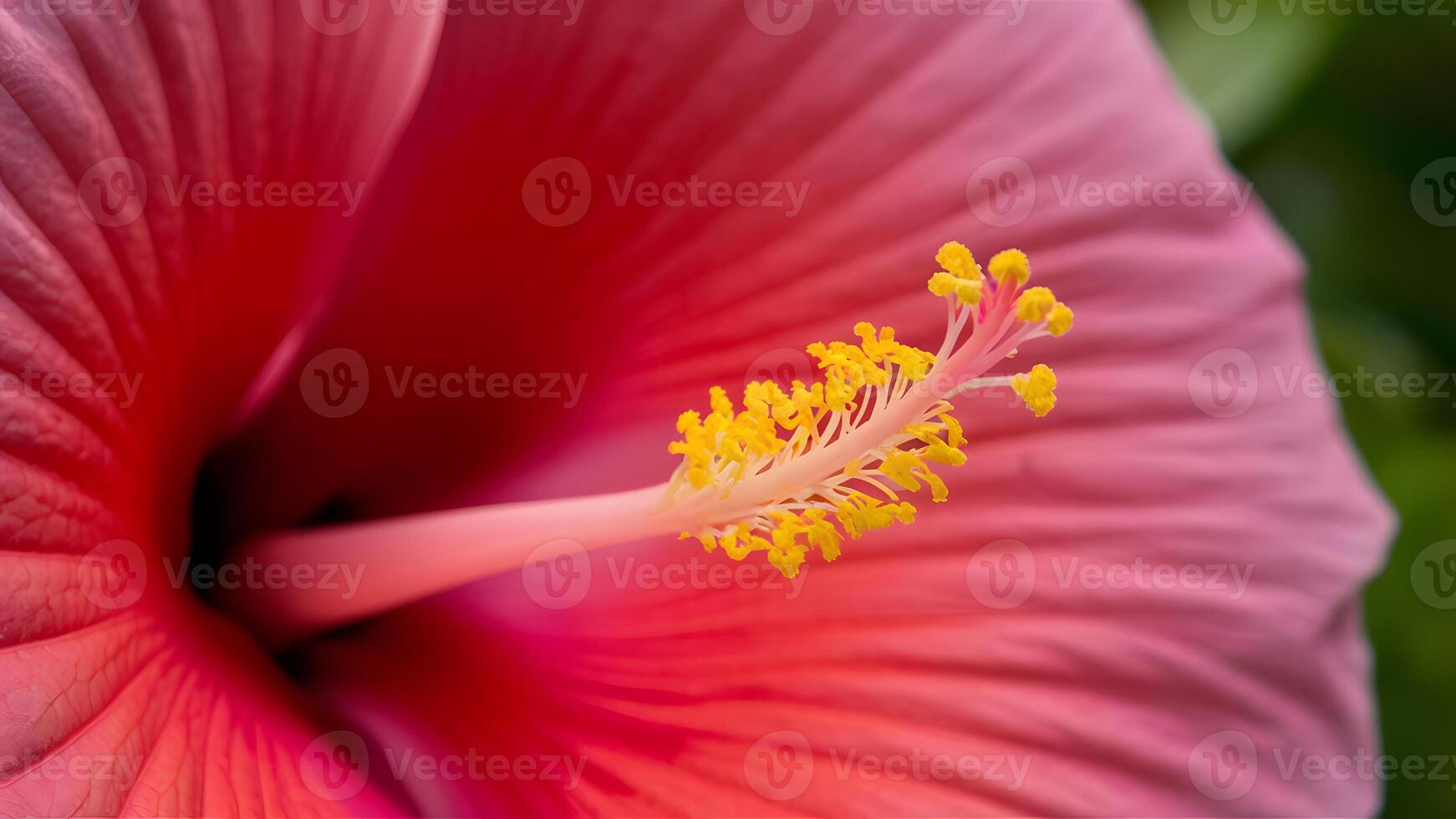 ai gegenereerd details van hibiscus bloem stigma en stuifmeel in macro visie foto