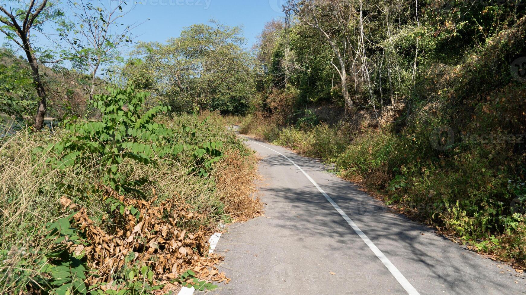verticaal pad van asfalt weg en kromme vooruit. twee naast met groen gras en bomen Woud. onder blauw lucht. trots in de omgeving van kaeng krachan reservoir eiland. phetchaburi, Thailand. foto