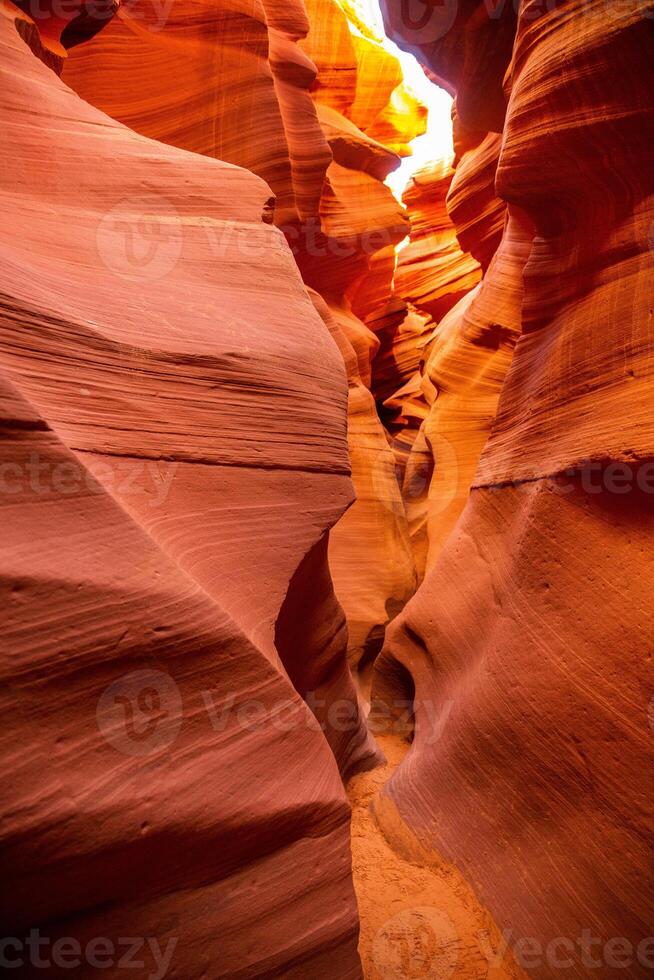 Super goed visie van de groots Ravijn nationaal park, Arizona, Verenigde staten. Californië woestijn. foto