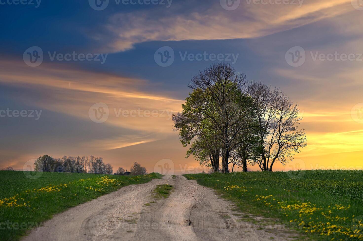 aarde land weg uitbreiden van de voorgrond naar de afstand foto