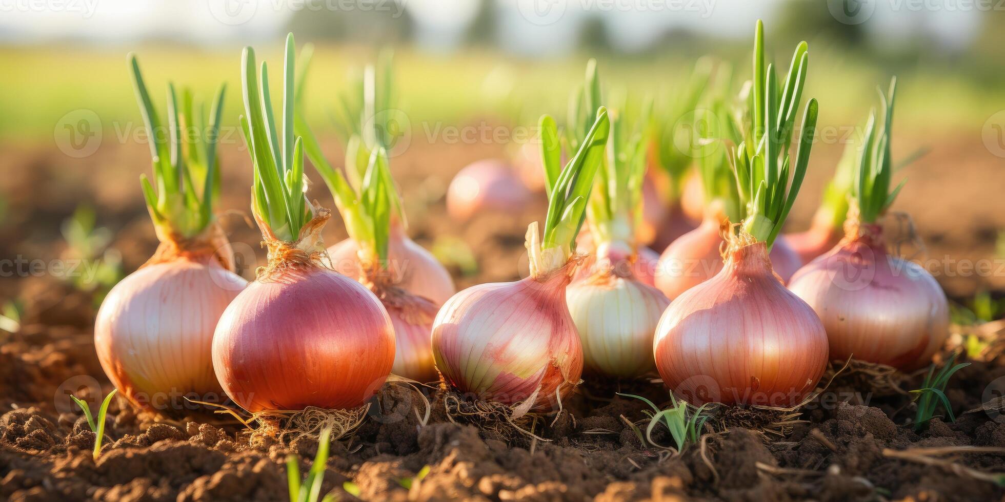 ai gegenereerd biologisch rood ui detailopname Aan de veld, milieuvriendelijk producten. generatief ai foto