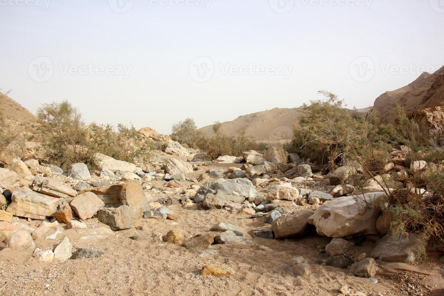 de negev is een woestijn in de midden- oosten, gelegen in Israël en bezetten over 60 van haar grondgebied. foto