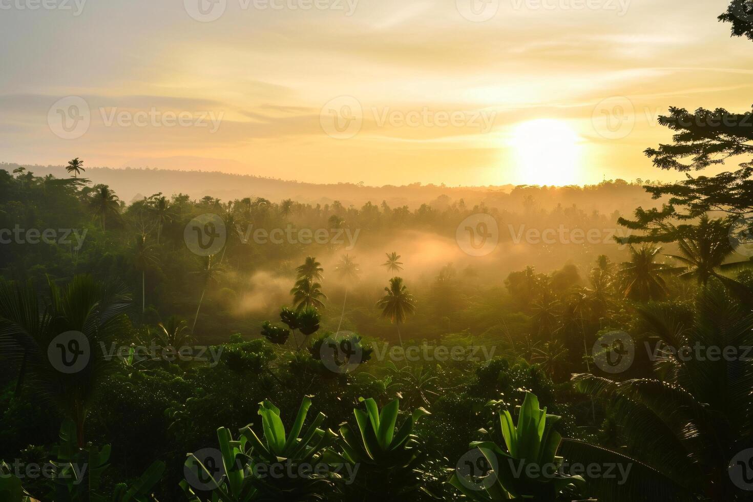 foto zonsopkomst over- Bali oerwoud