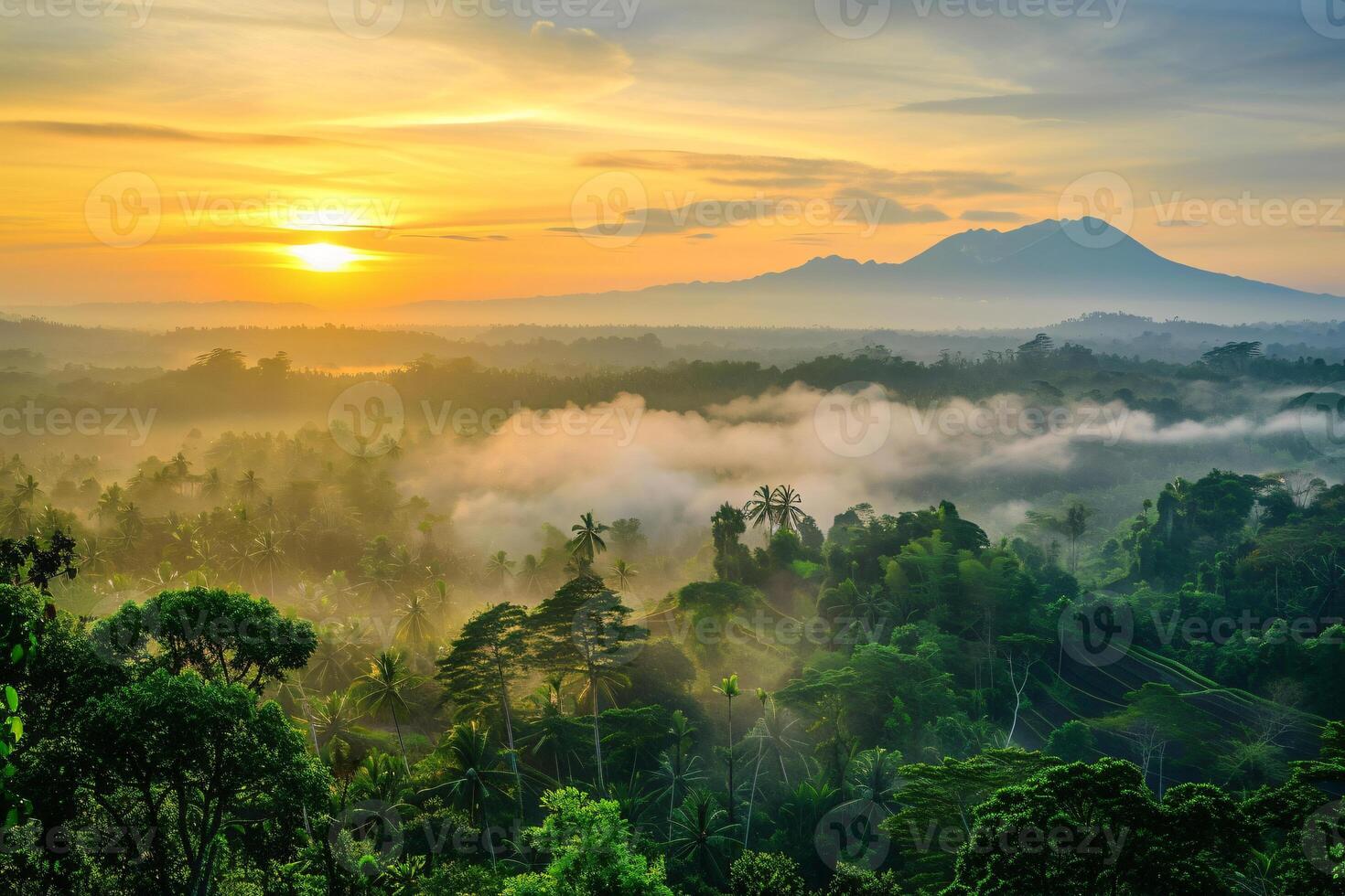 foto zonsopkomst over- Bali oerwoud