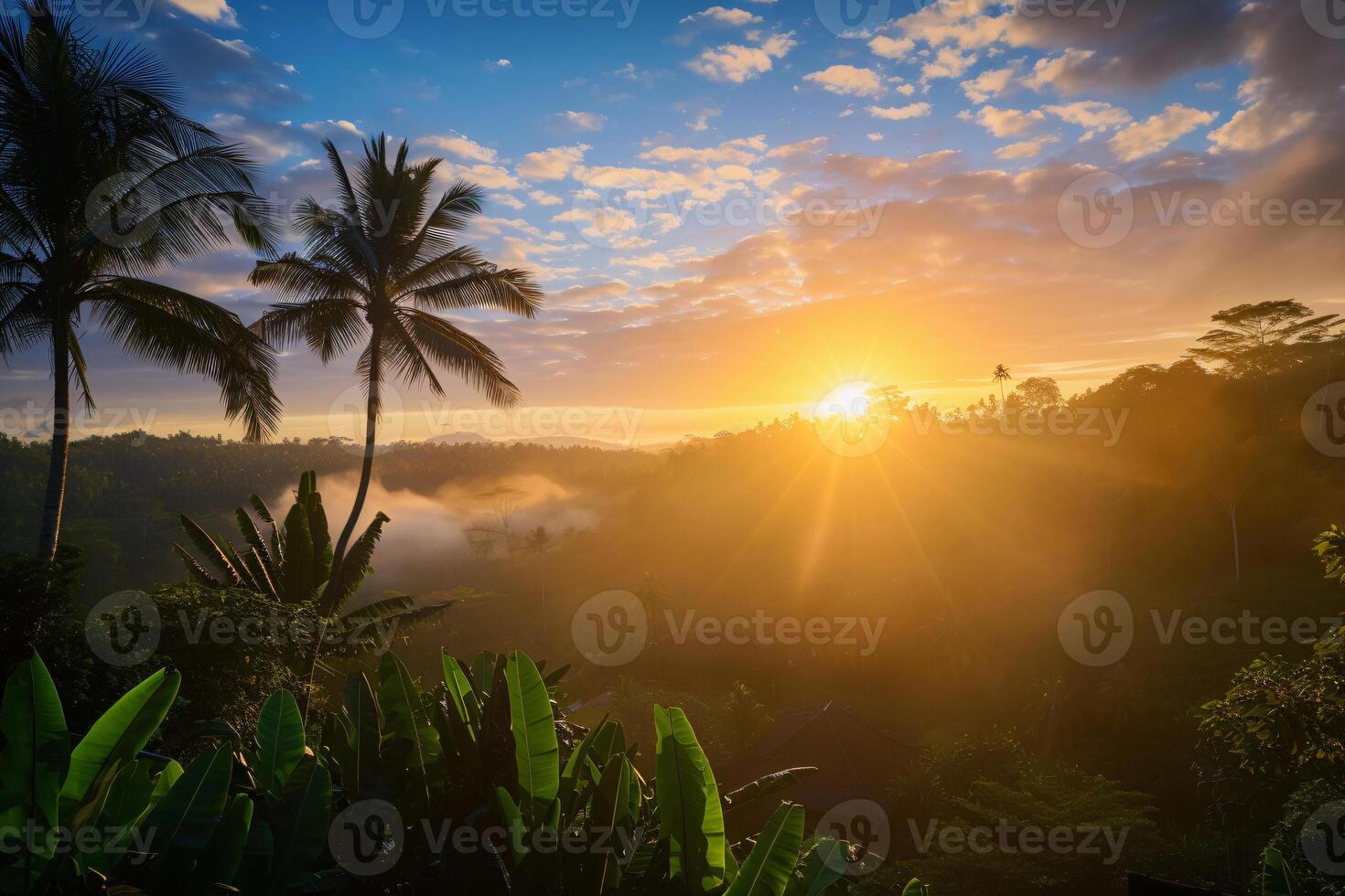 foto zonsopkomst over- Bali oerwoud