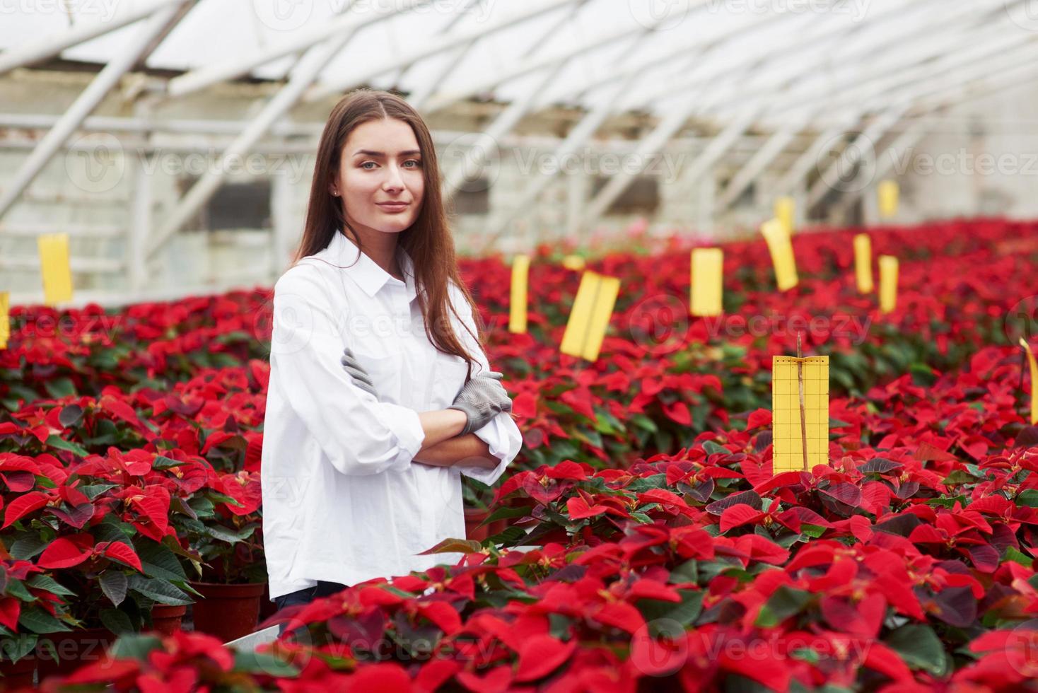 portret van een jong brunette meisje dat in de kas staat met prachtige rode planten in potten en armen gekruist heeft foto
