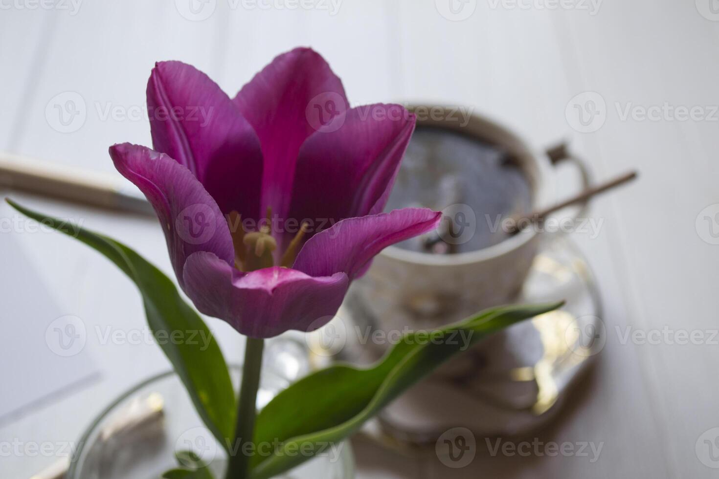 koffie en bloem dichtbij omhoog. foto