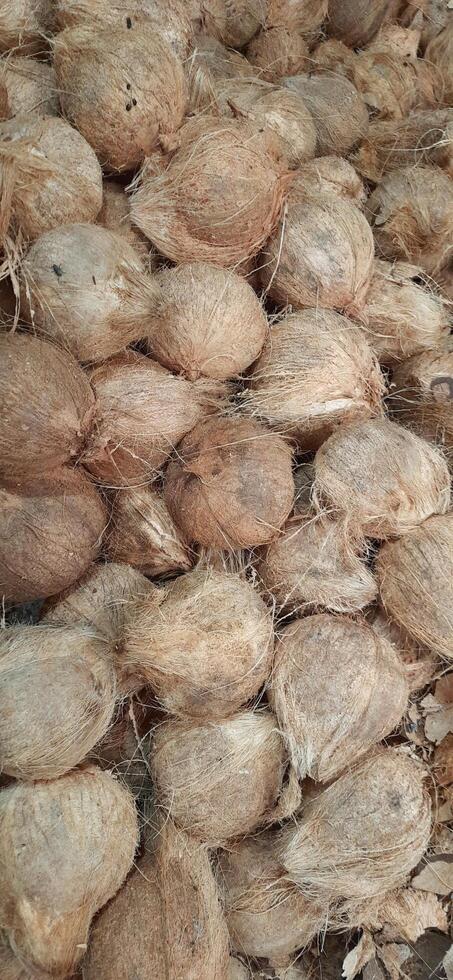stapel van bruin oud kokosnoten geschild met bloemknoppen verkocht in Indonesië traditioneel markt foto