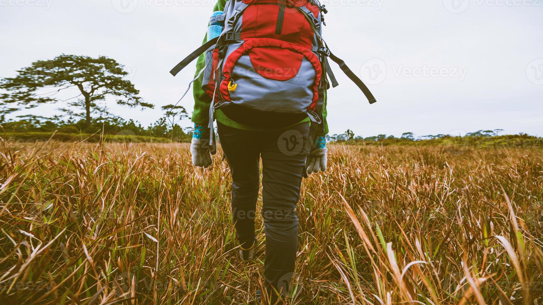 aziatische vrouw reizen natuur. reizen ontspannen. staand natuurlijk aanrakingsgras op de berg. meisje met een rugzak die in het grasbos loopt. reizen natuur. reizen ontspannen. foto