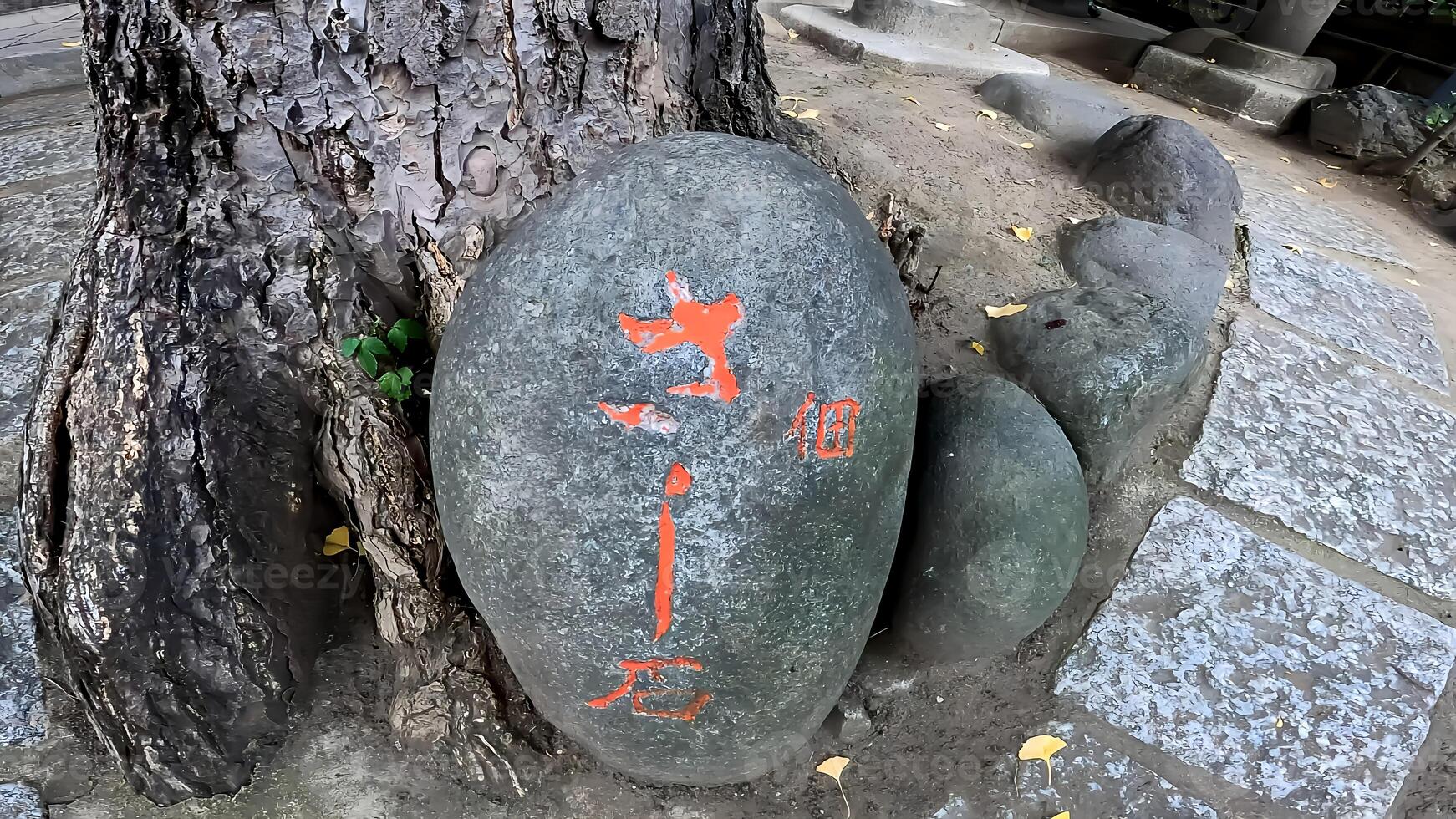 chikaraishi is een groot steen gebruikt voor testen kracht. in Japan, testen van sterkte gebruik makend van chikaraishi was populair net zo een het formulier van opleiding en amusement. foto