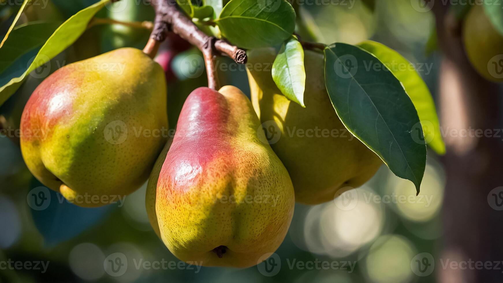 rijp sappig Peer in een mand in de tuin detailopname foto