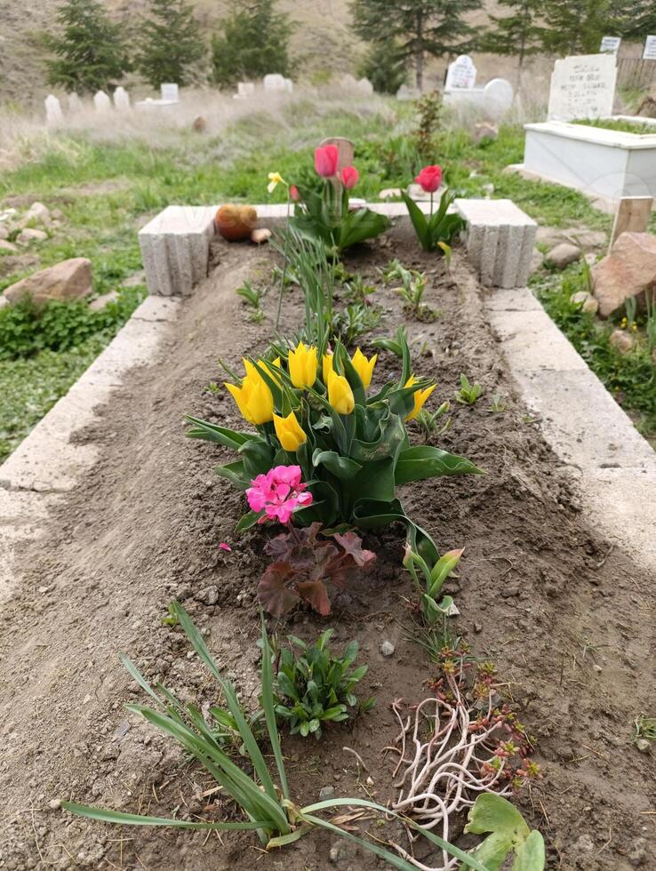 een bloem bed met een graf markeerstift in de midden. foto