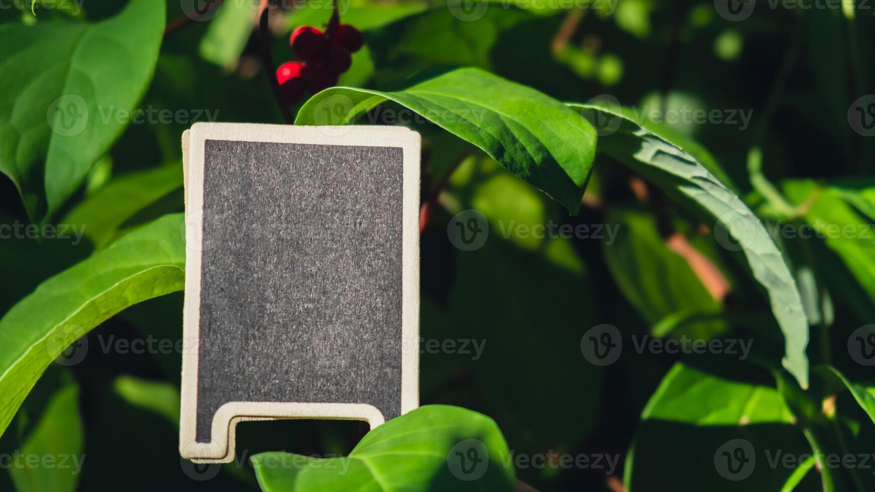 blanco zwart aanplakbord tegen groen citroengras bladeren tuin. leeg mockup sjabloon schoolbord etiket Bij boerderij land. kopiëren ruimte banier voor uw tekst. agrarisch landschap advertentie monster foto