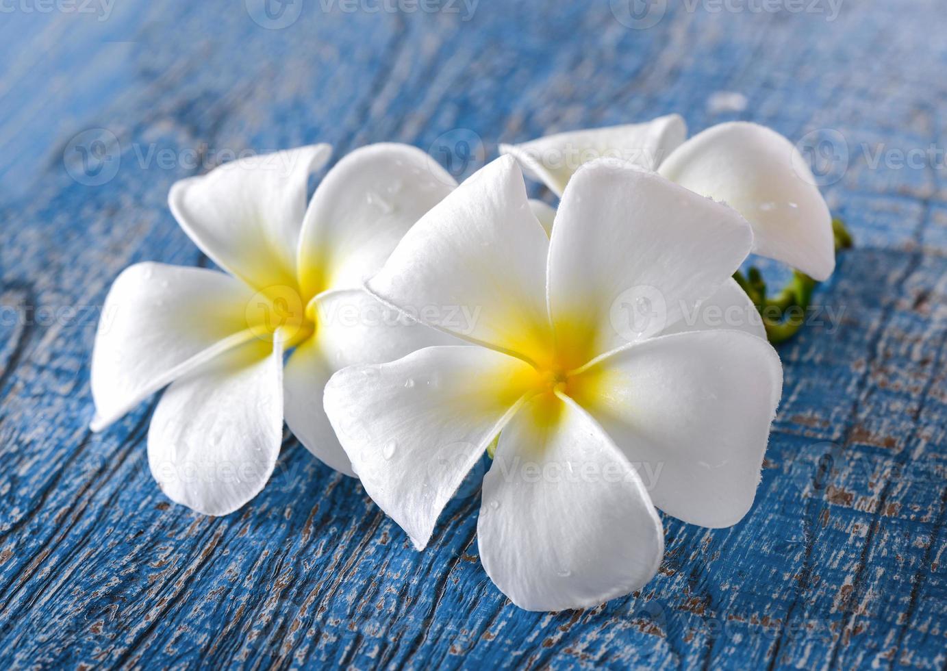 frangipani bloem op tafel foto