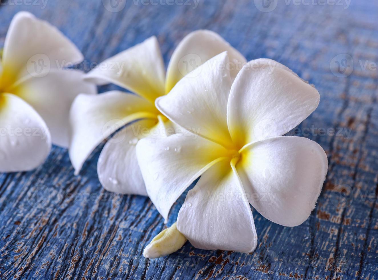 frangipani bloem op tafel foto