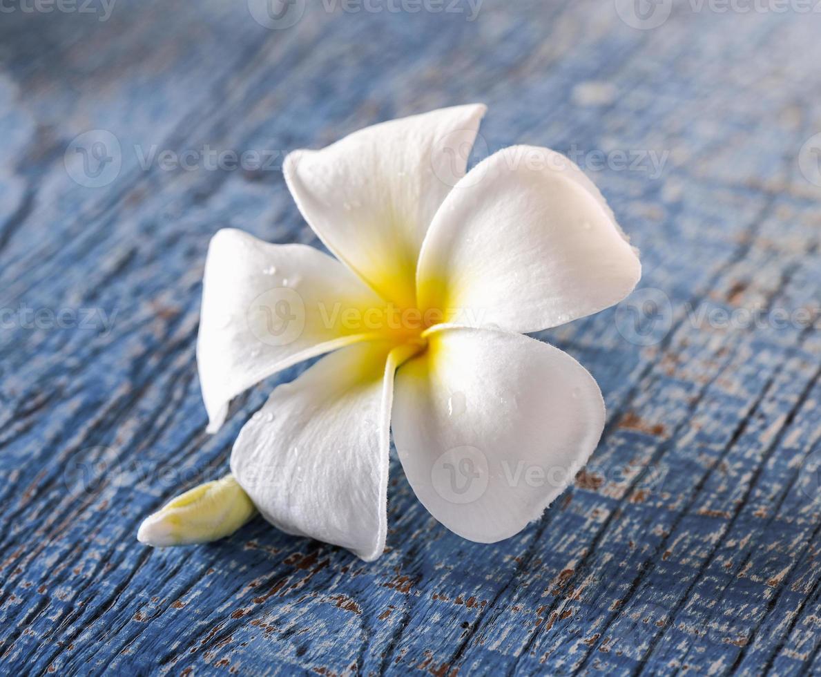 frangipani bloem op tafel foto